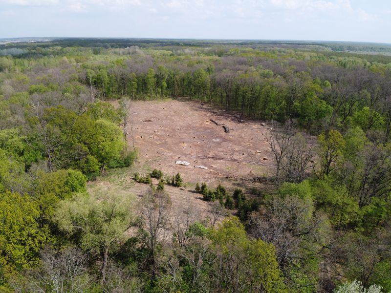 Land Clearing and Initial Grading
