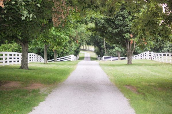 Gravel Driveway Construction